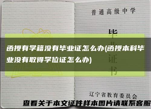 函授有学籍没有毕业证怎么办(函授本科毕业没有取得学位证怎么办)缩略图