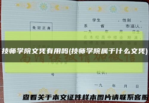 技师学院文凭有用吗(技师学院属于什么文凭)缩略图