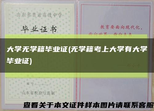 大学无学籍毕业证(无学籍考上大学有大学毕业证)缩略图