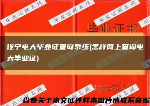 遂宁电大毕业证查询系统(怎样网上查询电大毕业证)缩略图