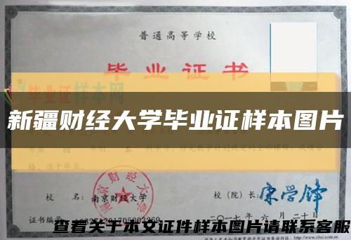 新疆财经大学毕业证样本图片缩略图