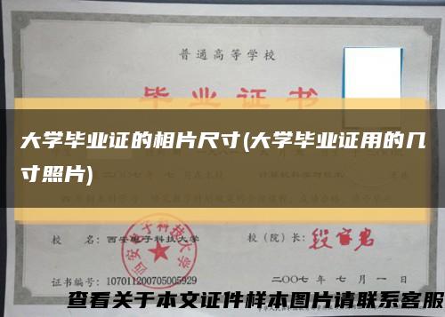 大学毕业证的相片尺寸(大学毕业证用的几寸照片)缩略图