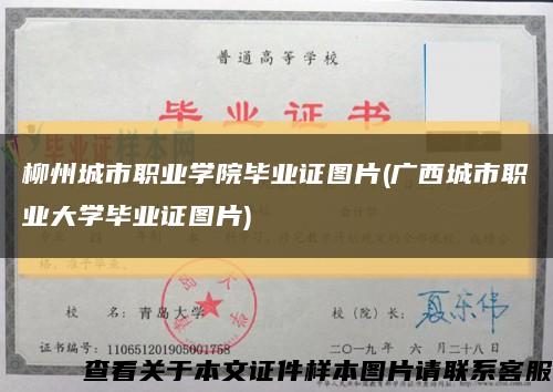 柳州城市职业学院毕业证图片(广西城市职业大学毕业证图片)缩略图