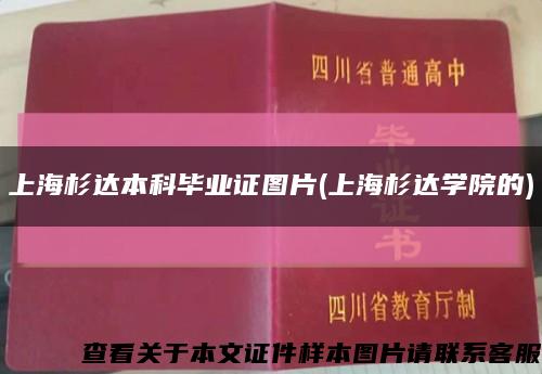 上海杉达本科毕业证图片(上海杉达学院的)缩略图