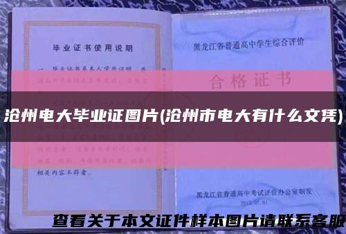 沧州电大毕业证图片(沧州市电大有什么文凭)缩略图