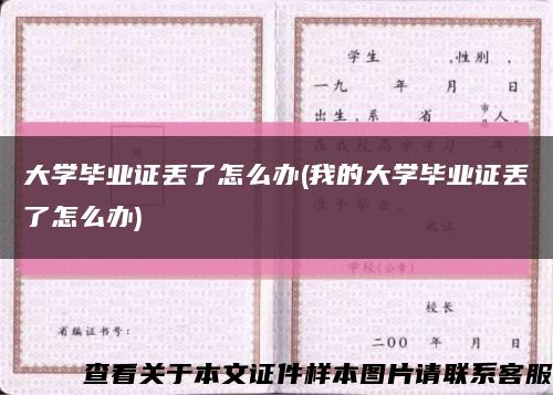 大学毕业证丢了怎么办(我的大学毕业证丢了怎么办)缩略图