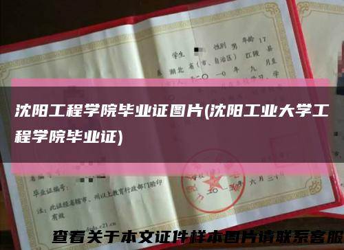 沈阳工程学院毕业证图片(沈阳工业大学工程学院毕业证)缩略图