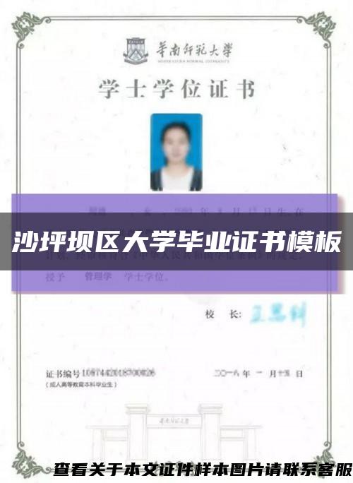 沙坪坝区大学毕业证书模板缩略图