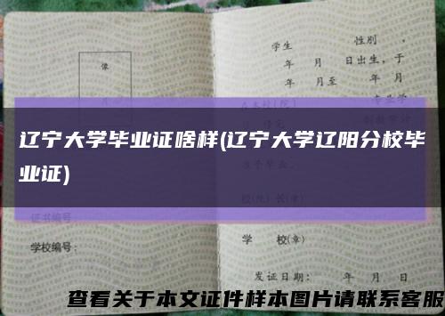 辽宁大学毕业证啥样(辽宁大学辽阳分校毕业证)缩略图