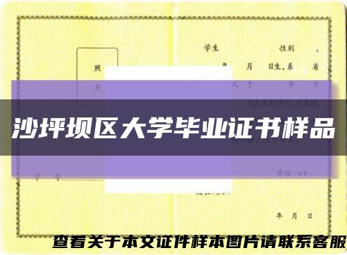 沙坪坝区大学毕业证书样品缩略图