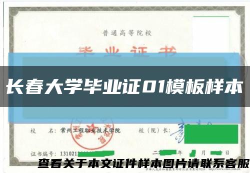 长春大学毕业证01模板样本缩略图