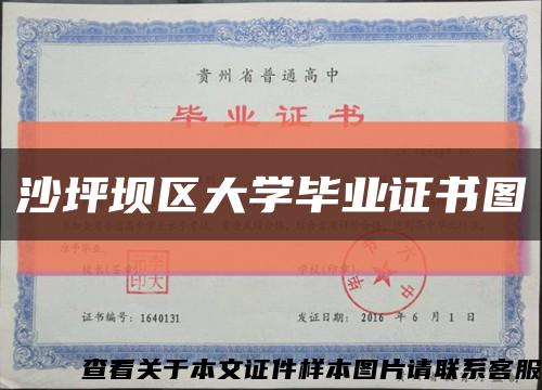 沙坪坝区大学毕业证书图缩略图