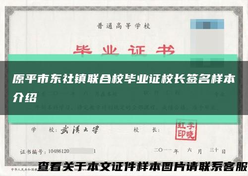 原平市东社镇联合校毕业证校长签名样本介绍缩略图