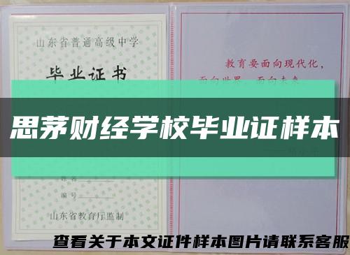 思茅财经学校毕业证样本缩略图