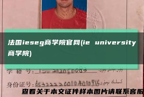 法国ieseg商学院官网(ie university商学院)缩略图