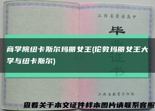 商学院纽卡斯尔玛丽女王(伦敦玛丽女王大学与纽卡斯尔)缩略图