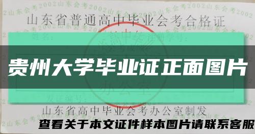 贵州大学毕业证正面图片缩略图