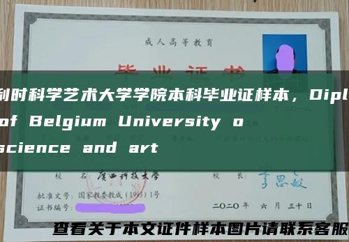 比利时科学艺术大学学院本科毕业证样本，Diploma of Belgium University of science and art缩略图