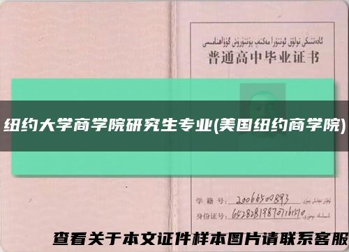 纽约大学商学院研究生专业(美国纽约商学院)缩略图