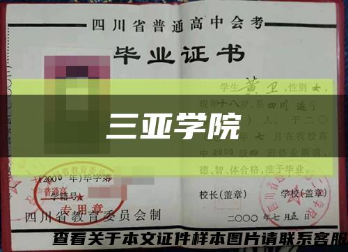 三亚学院缩略图