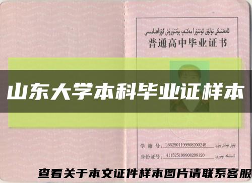 山东大学本科毕业证样本缩略图