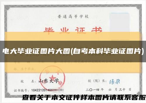 电大毕业证图片大图(自考本科毕业证图片)缩略图