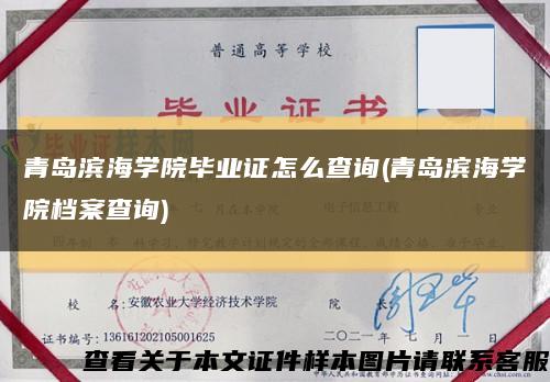 青岛滨海学院毕业证怎么查询(青岛滨海学院档案查询)缩略图