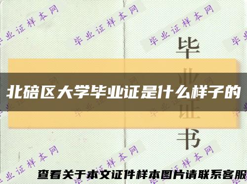 北碚区大学毕业证是什么样子的缩略图