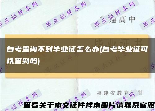 自考查询不到毕业证怎么办(自考毕业证可以查到吗)缩略图