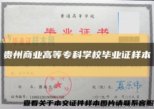 贵州商业高等专科学校毕业证样本缩略图