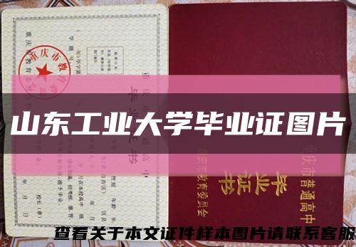 山东工业大学毕业证图片缩略图