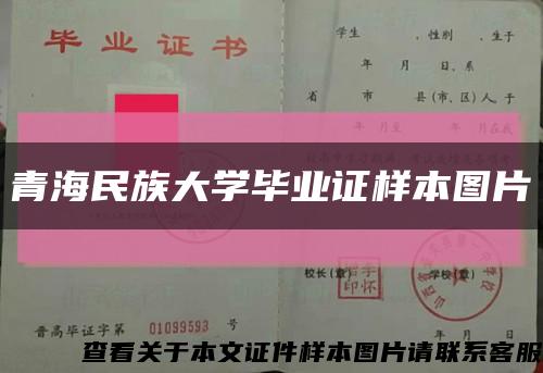 青海民族大学毕业证样本图片缩略图