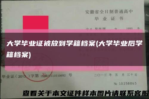 大学毕业证被放到学籍档案(大学毕业后学籍档案)缩略图