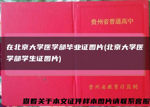 在北京大学医学部毕业证图片(北京大学医学部学生证图片)缩略图