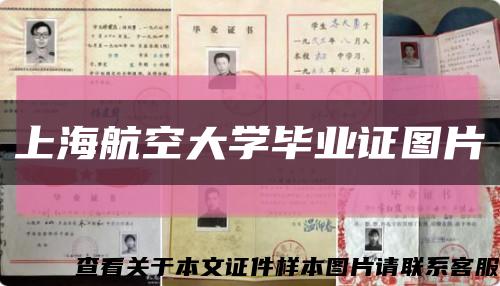 上海航空大学毕业证图片缩略图