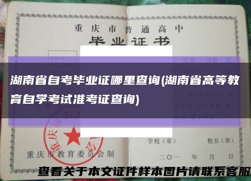 湖南省自考毕业证哪里查询(湖南省高等教育自学考试准考证查询)缩略图