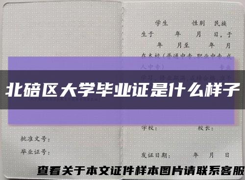 北碚区大学毕业证是什么样子缩略图