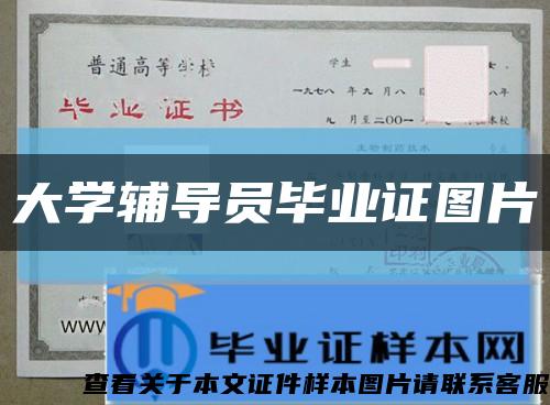 大学辅导员毕业证图片缩略图