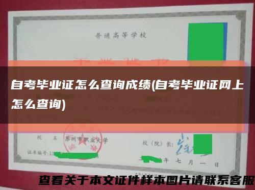 自考毕业证怎么查询成绩(自考毕业证网上怎么查询)缩略图