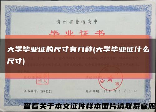 大学毕业证的尺寸有几种(大学毕业证什么尺寸)缩略图