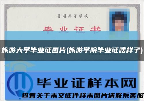 旅游大学毕业证图片(旅游学院毕业证啥样子)缩略图