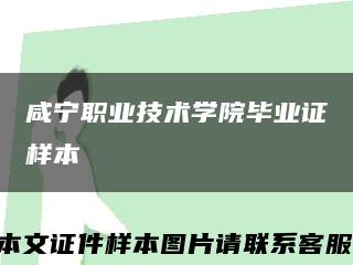 咸宁职业技术学院毕业证样本缩略图