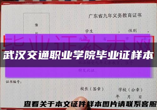 武汉交通职业学院毕业证样本缩略图