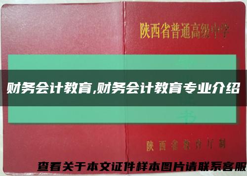 财务会计教育,财务会计教育专业介绍缩略图