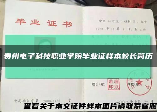 贵州电子科技职业学院毕业证样本校长简历缩略图