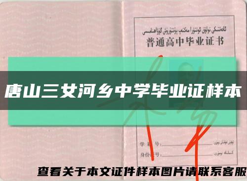 唐山三女河乡中学毕业证样本缩略图