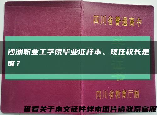 沙洲职业工学院毕业证样本、现任校长是谁？缩略图