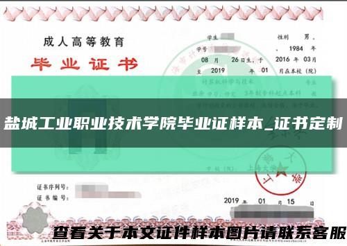 盐城工业职业技术学院毕业证样本_证书定制缩略图