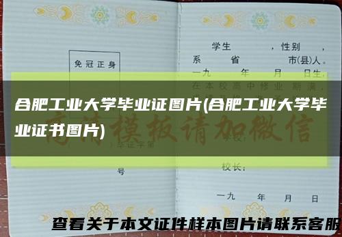 合肥工业大学毕业证图片(合肥工业大学毕业证书图片)缩略图