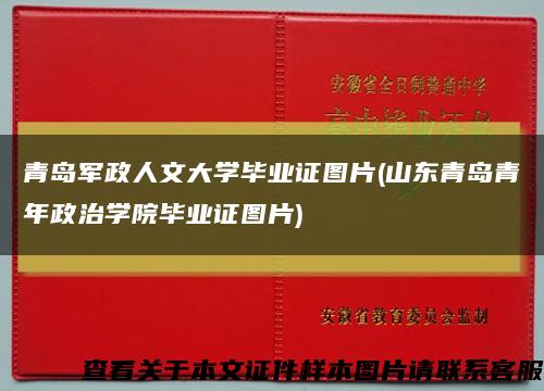 青岛军政人文大学毕业证图片(山东青岛青年政治学院毕业证图片)缩略图